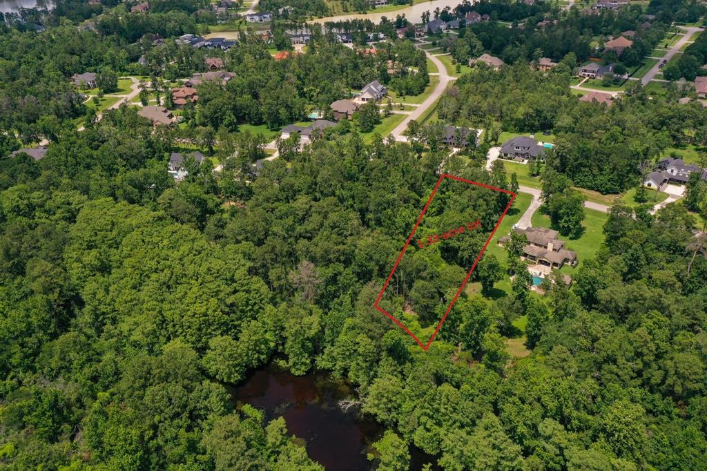 27414 Shady Hills Landing Lane