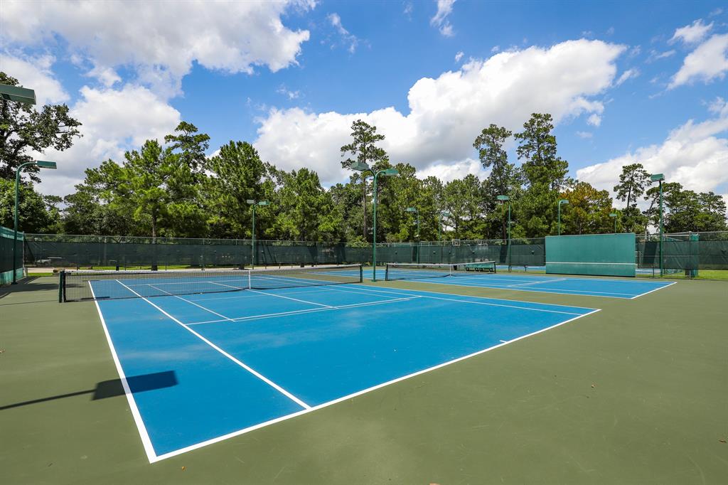 27414 Shady Hills Landing Lane, Spring, Texas image 21