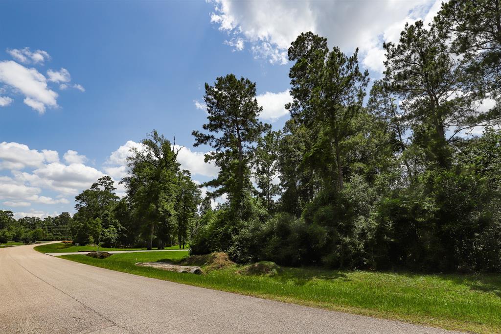 27414 Shady Hills Landing Lane, Spring, Texas image 10