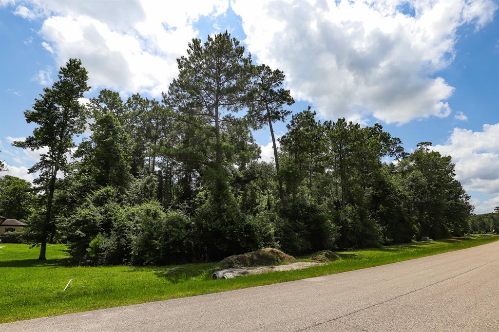 27414 Shady Hills Landing Lane, Spring, Texas image 9