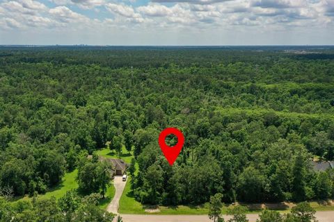 27414 Shady Hills Landing Lane Spring TX 77386