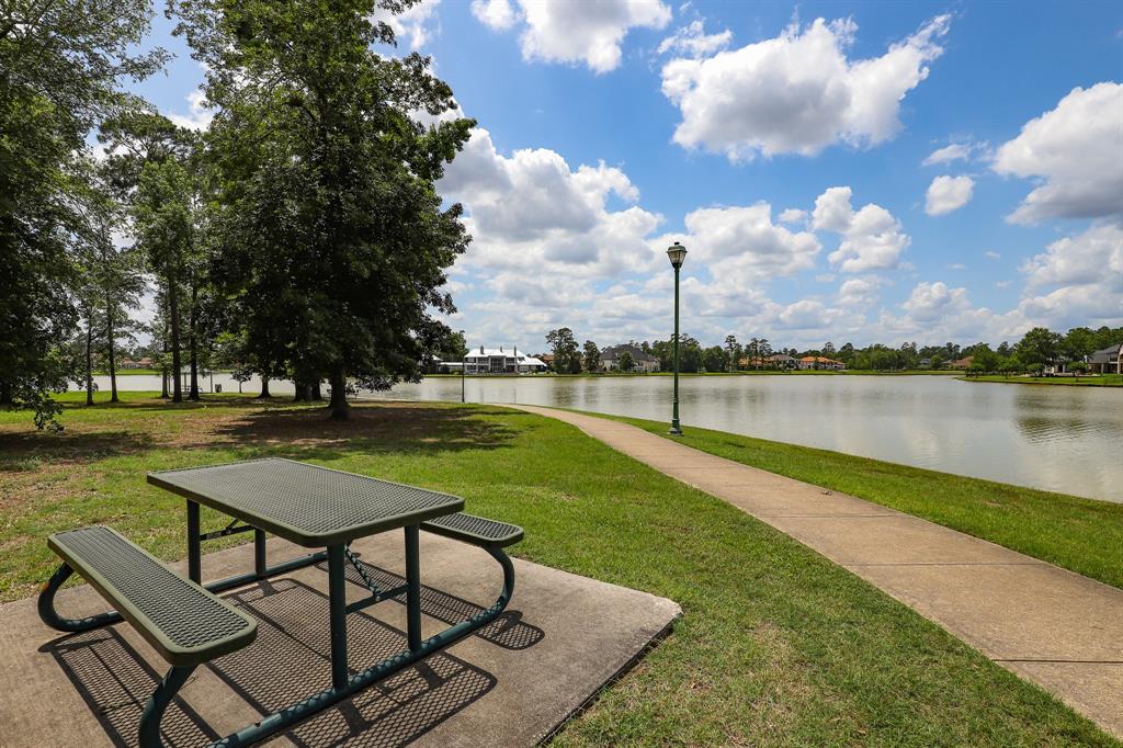 27414 Shady Hills Landing Lane, Spring, Texas image 25