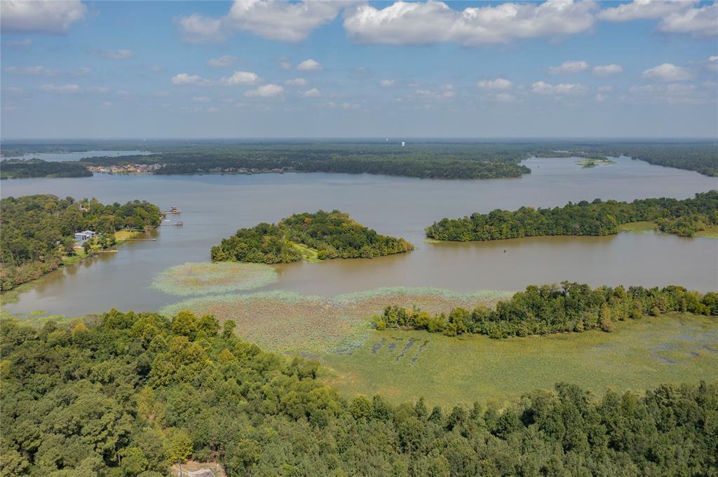 24718 Windward Birch Way, Huffman, Texas image 32