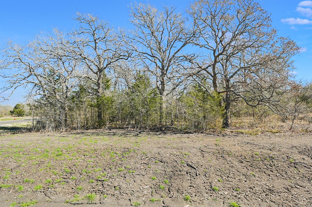 4019 Hollow Court, College Station, Texas image 4