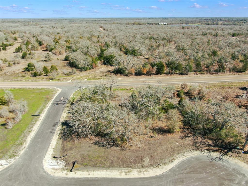 4019 Hollow Court, College Station, Texas image 2