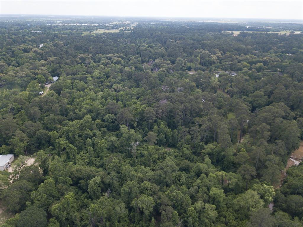 Krug Road, Tomball, Texas image 6