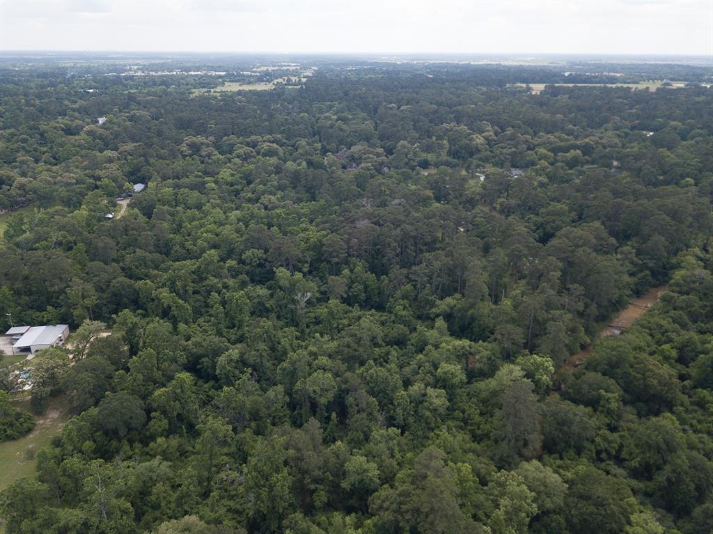 Krug Road, Tomball, Texas image 7