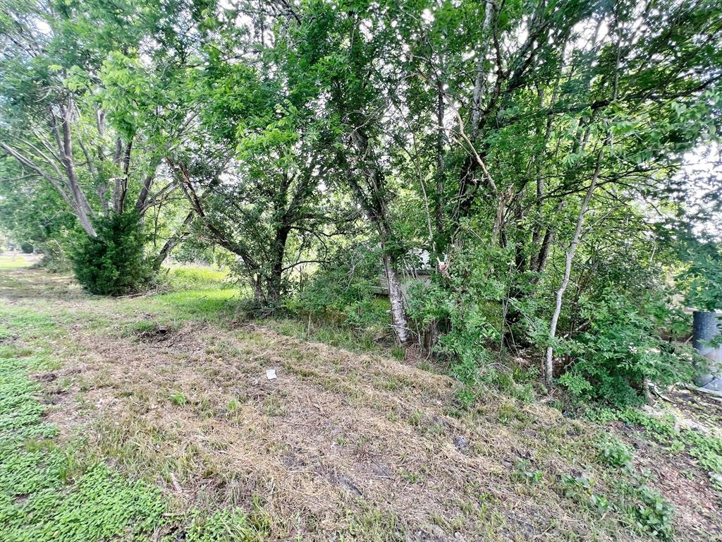 970 County Road 925a, Alvin, Texas image 8