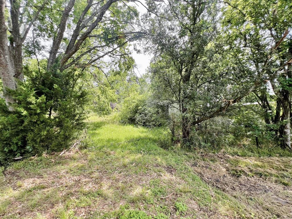 970 County Road 925a, Alvin, Texas image 6