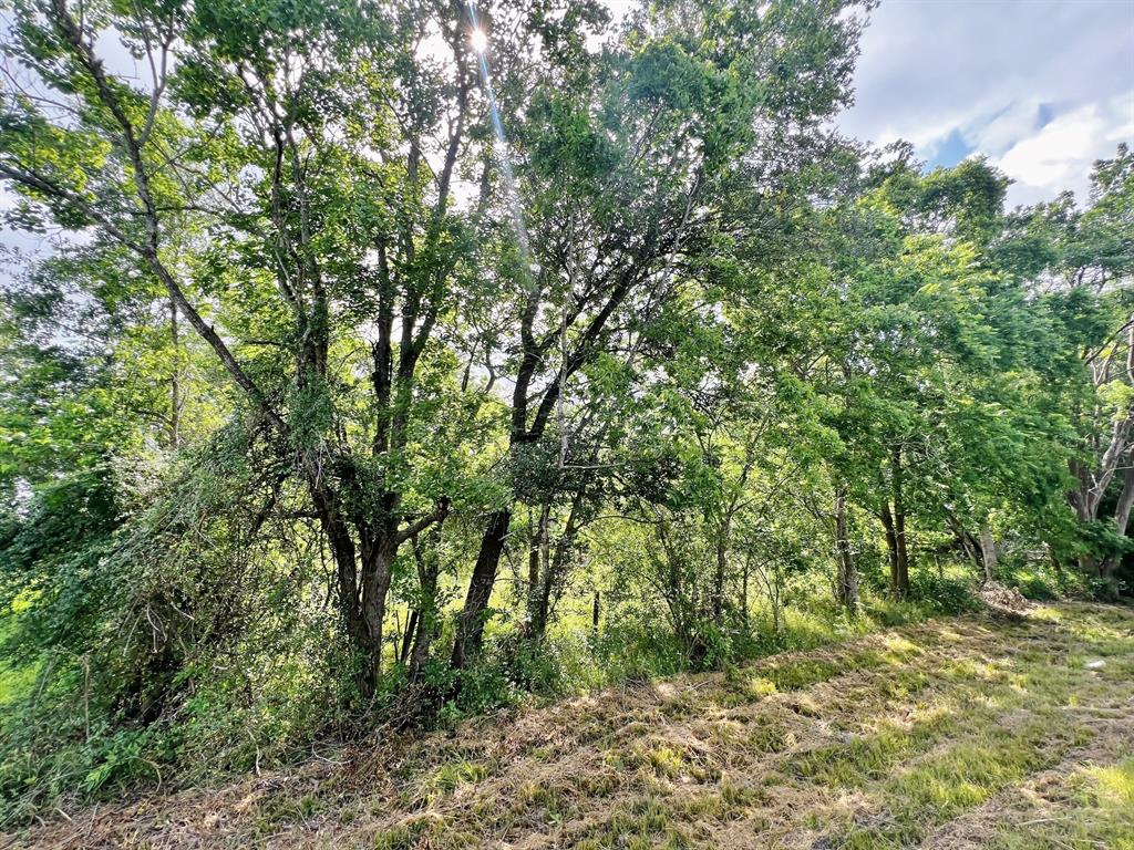 970 County Road 925a, Alvin, Texas image 2