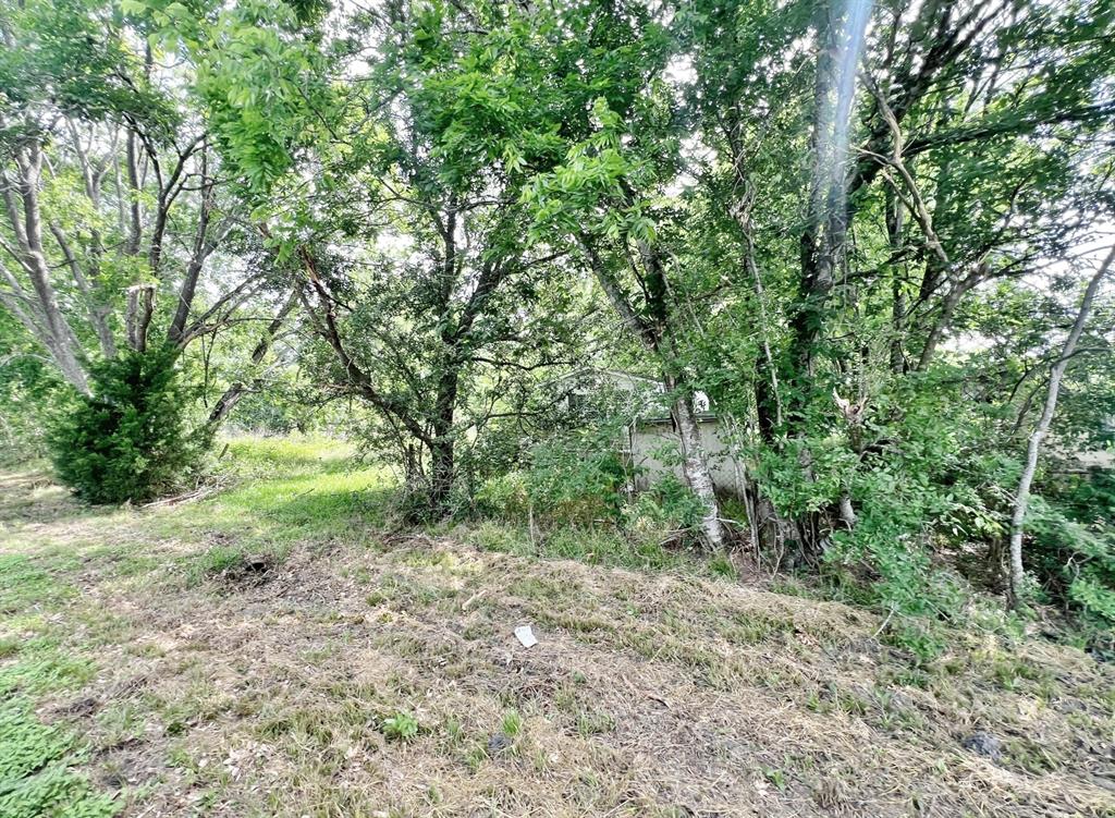 970 County Road 925a, Alvin, Texas image 7