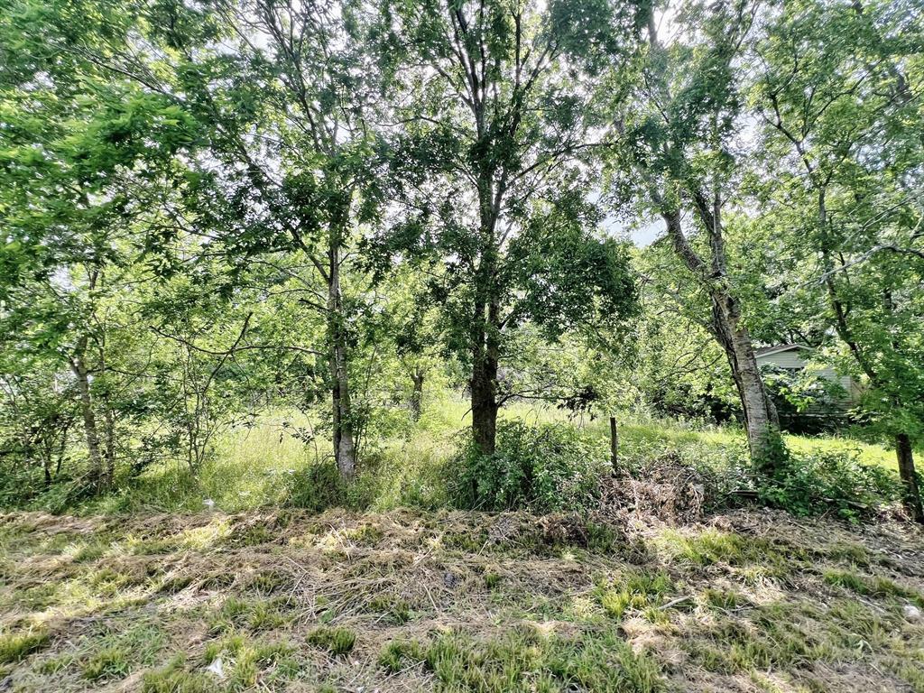 970 County Road 925a, Alvin, Texas image 4