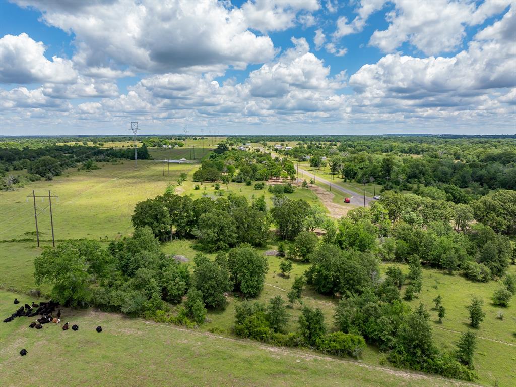 6507 Atakapan Trail Trl, Bedias, Texas image 7