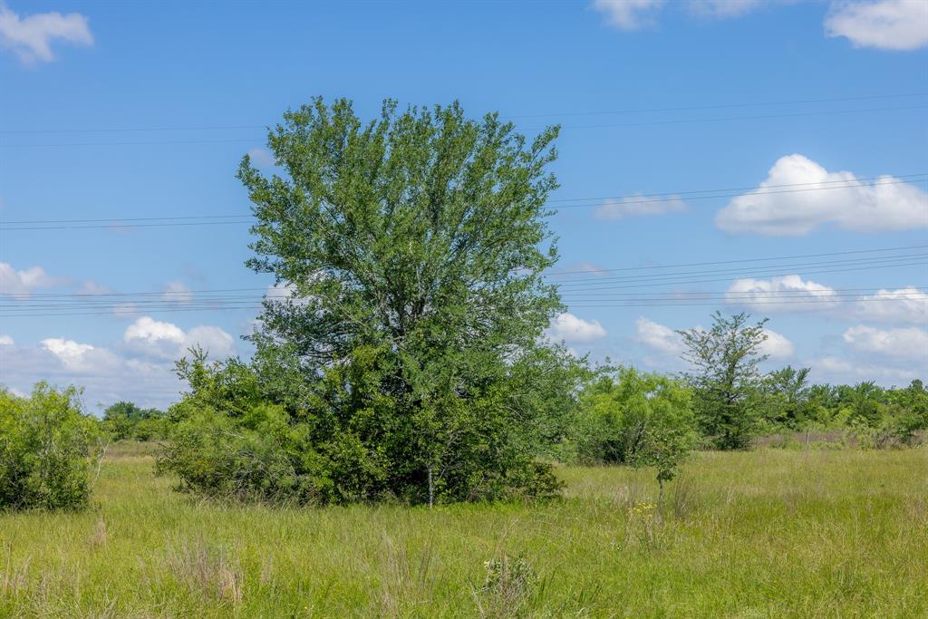 6507 Atakapan Trail Trl, Bedias, Texas image 4