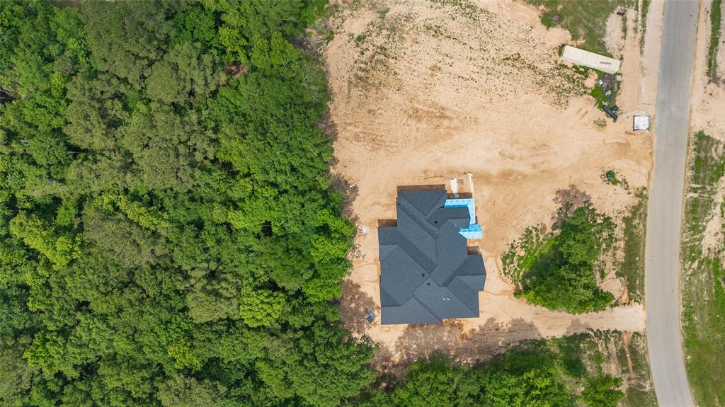 1561 Sivler Creek Lane, Montgomery, Texas image 2