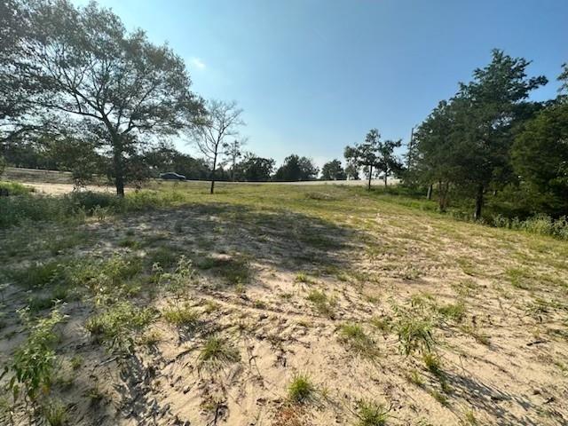 100 Private Rd, Marquez, Texas image 3