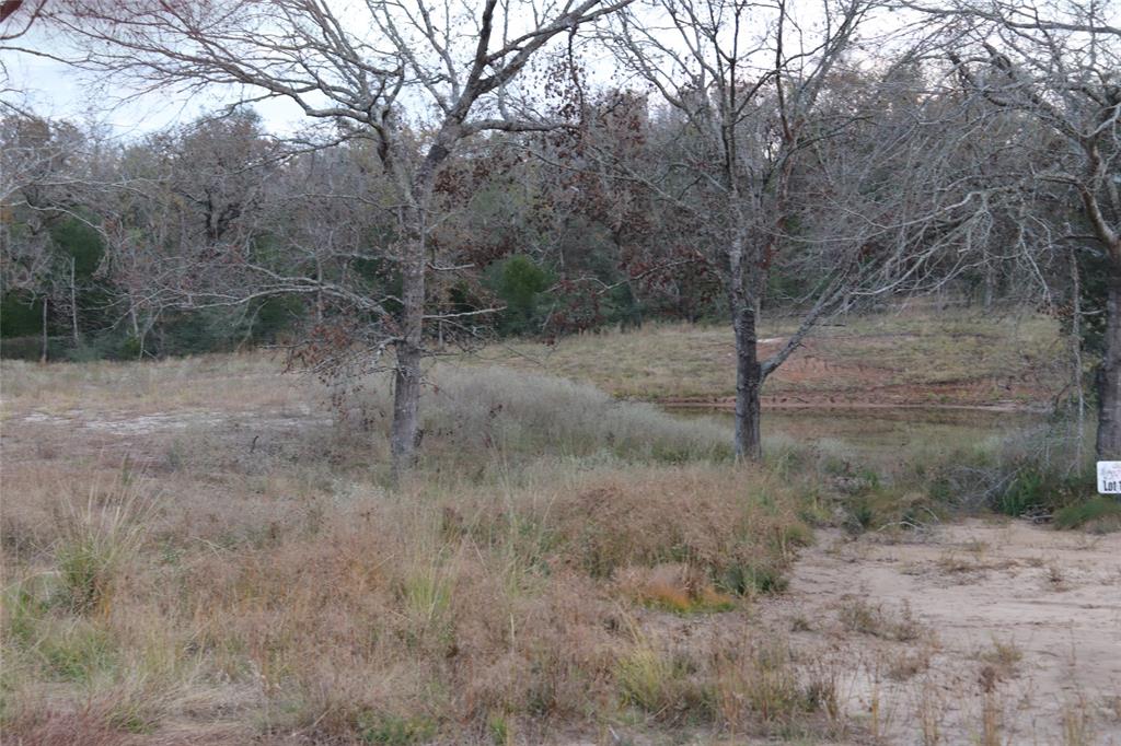 100 Private Rd, Marquez, Texas image 15