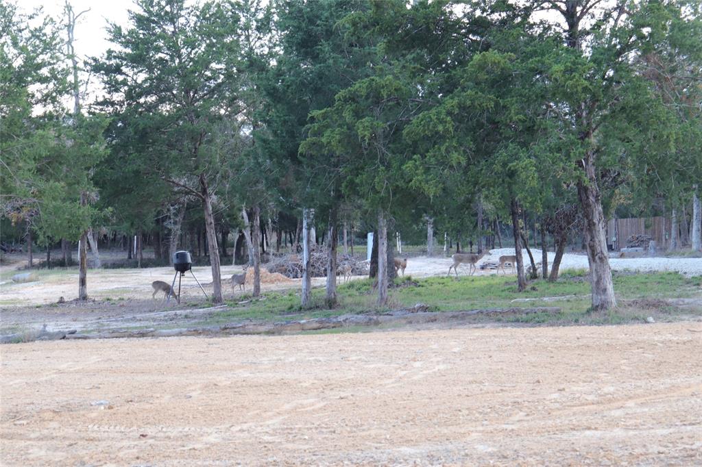 100 Private Rd, Marquez, Texas image 7