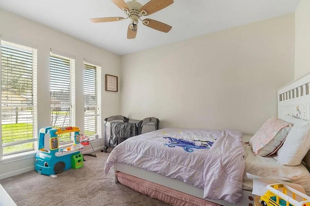 59 Blue Bell Court, Lake Jackson, Texas image 18