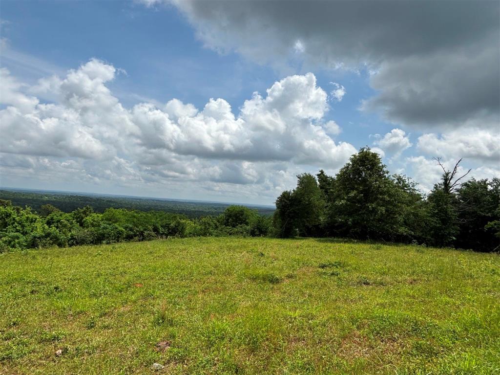 46916 Us Highway 69, Bullard, Texas image 37