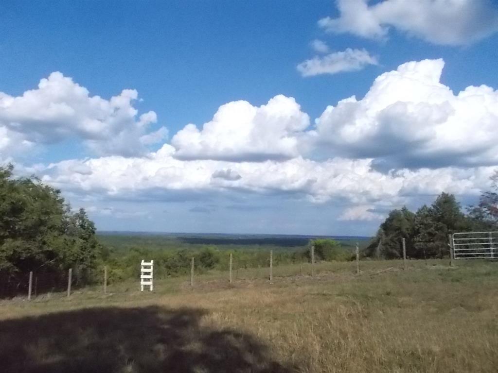 46916 Us Highway 69, Bullard, Texas image 38