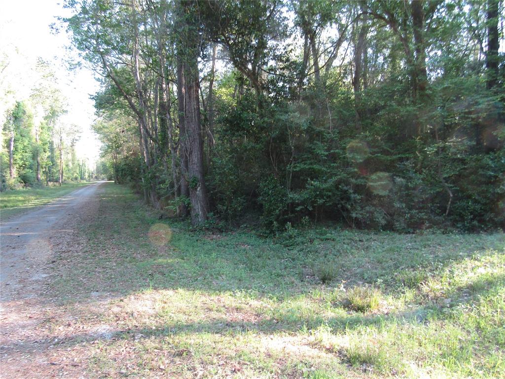 TBD Holly Lane, New Caney, Texas image 3