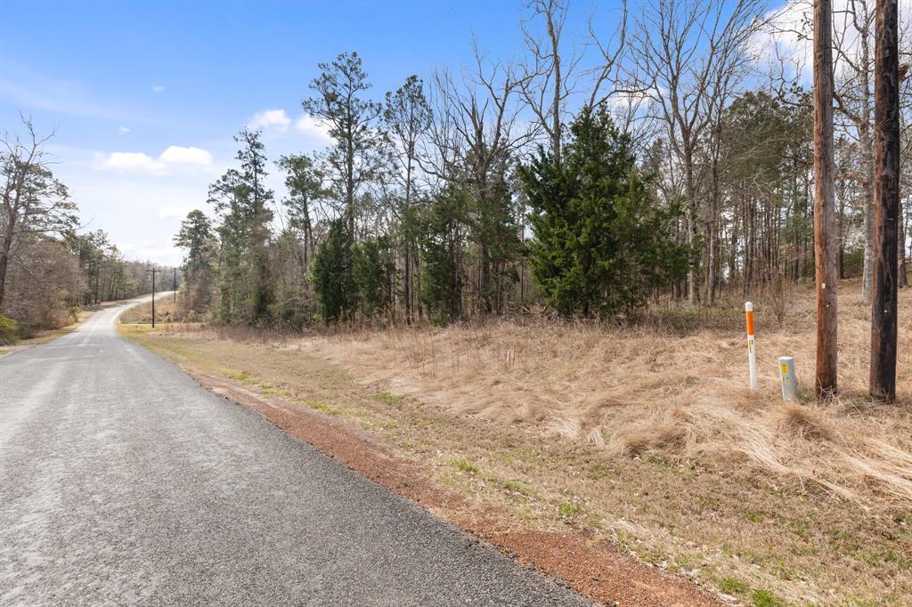 95 Paradise Drive, Coldspring, Texas image 22