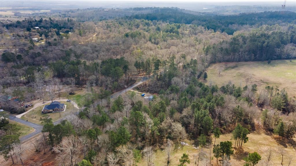 95 Paradise Drive, Coldspring, Texas image 11
