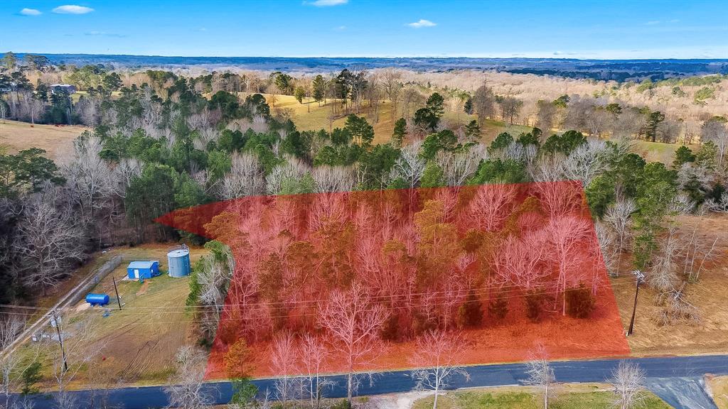 95 Paradise Drive, Coldspring, Texas image 19