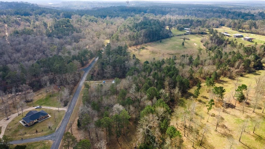 95 Paradise Drive, Coldspring, Texas image 10