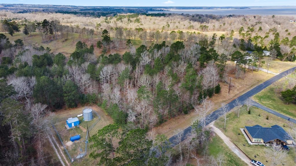 95 Paradise Drive, Coldspring, Texas image 16