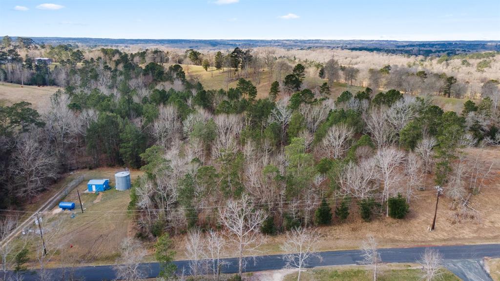 95 Paradise Drive, Coldspring, Texas image 18
