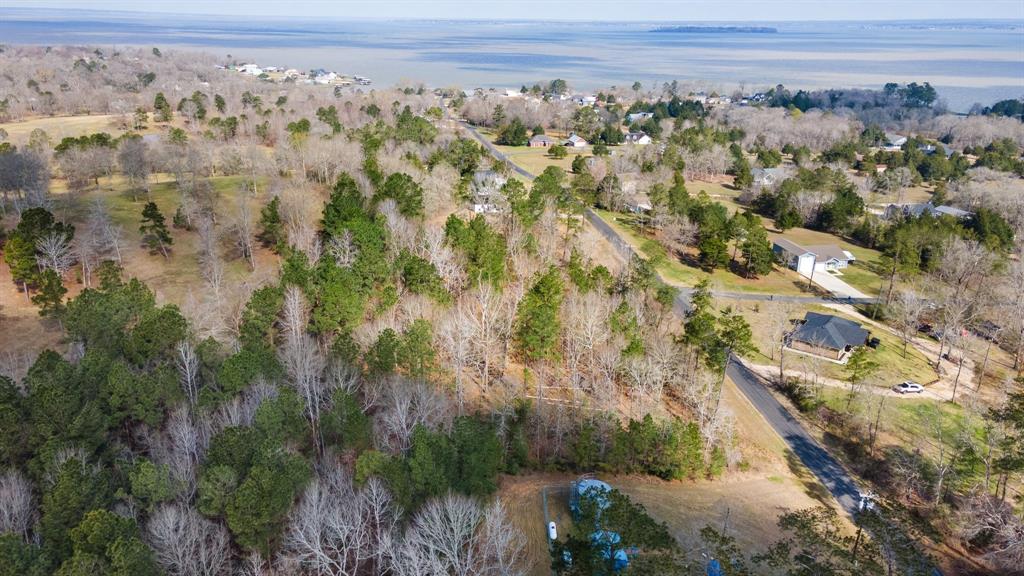 95 Paradise Drive, Coldspring, Texas image 2