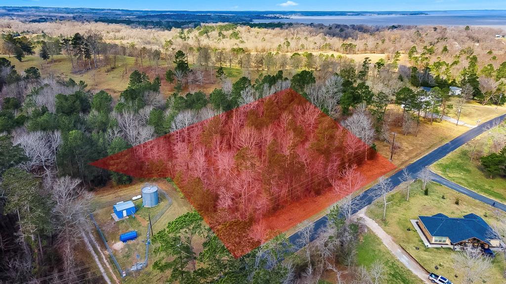95 Paradise Drive, Coldspring, Texas image 17