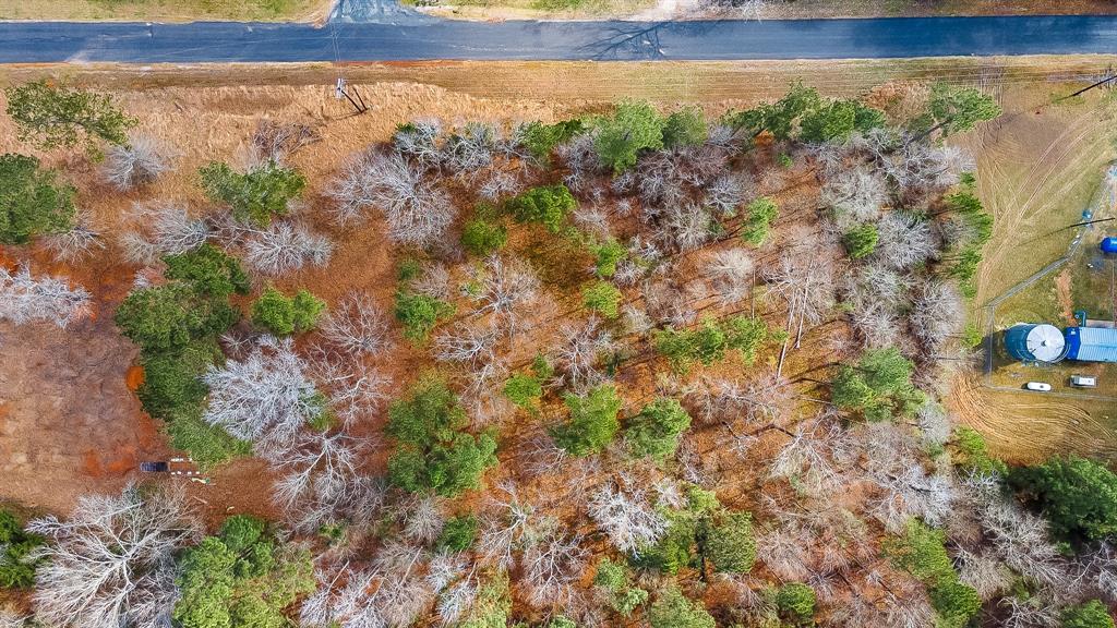 95 Paradise Drive, Coldspring, Texas image 20