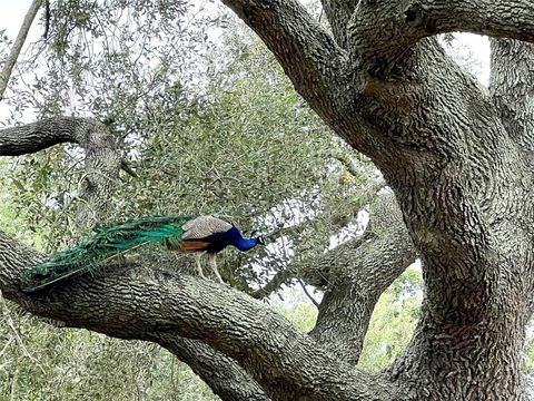 1518 County Road 307 El Campo TX 77437