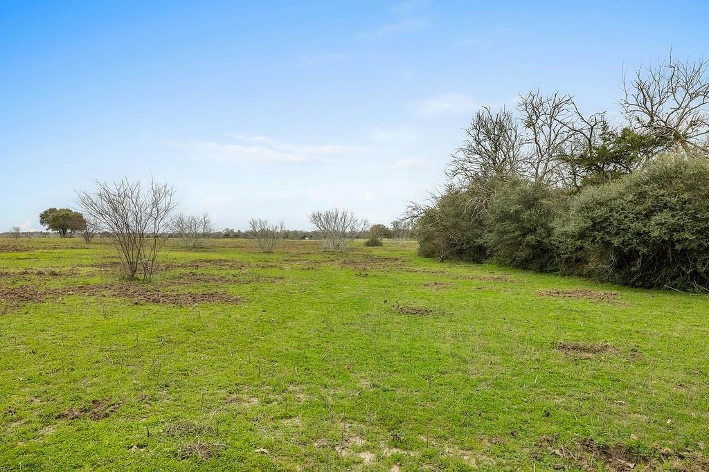 Tract 1 Tbd Kleihege Road, New Ulm, Texas image 5