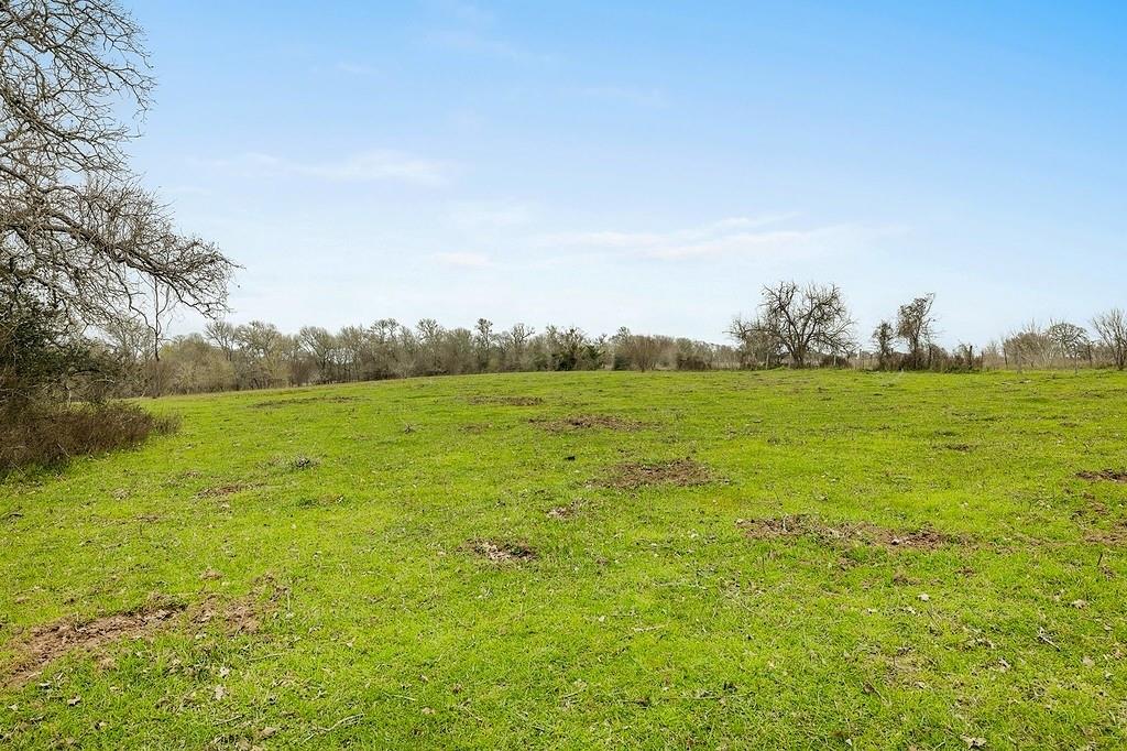 Tract 1 Tbd Kleihege Road, New Ulm, Texas image 4