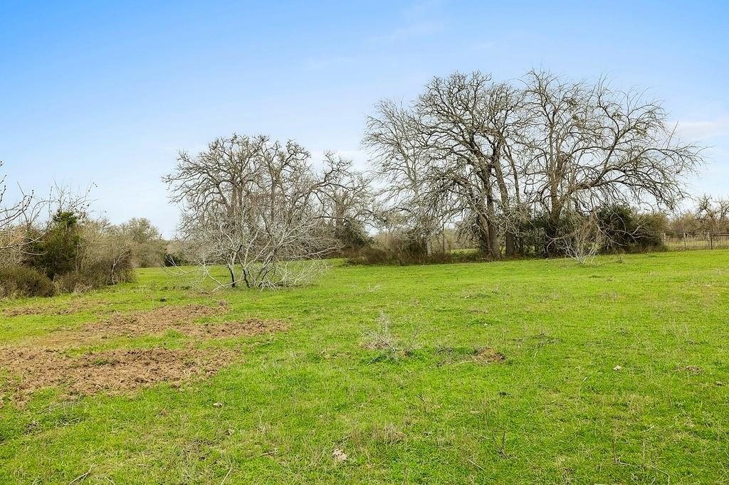Tract 1 Tbd Kleihege Road, New Ulm, Texas image 8