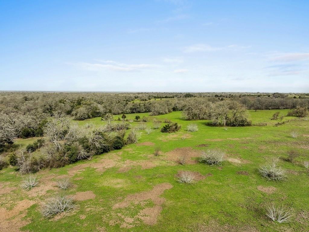 Tract 1 Tbd Kleihege Road, New Ulm, Texas image 1