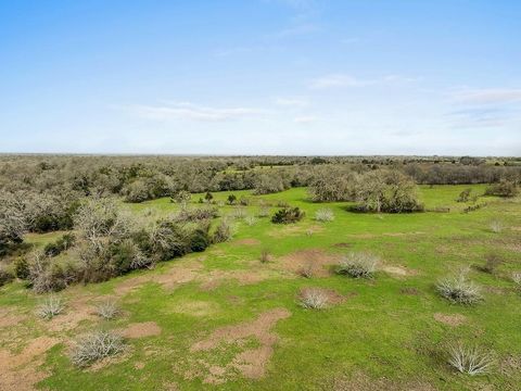 Photo of 1 Tbd Kleihege Road, New Ulm, TX 78950 (MLS # 6613774) Photo of 1 Tbd Kleihege Road, New Ulm, TX 78950 (MLS # 6613774)