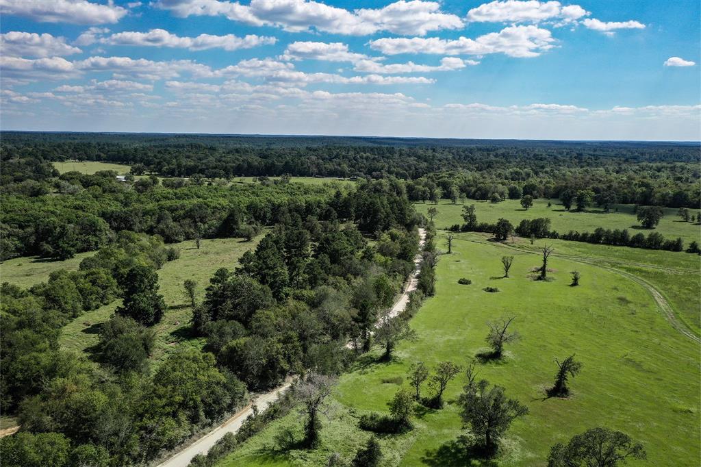 134 Acres FM 1374