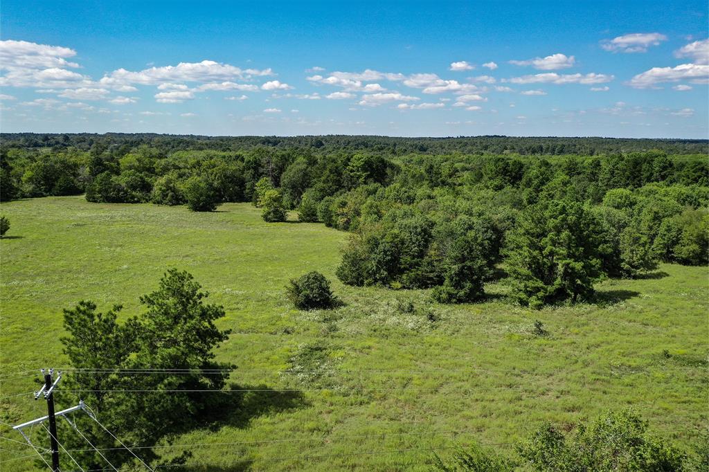 134 Acres FM 1374