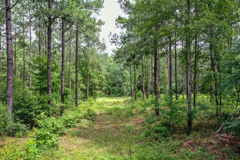 Vacant Land For Sale - 15.573 AC Cr 1050<br/> Houston County, Crockett, TX 75835