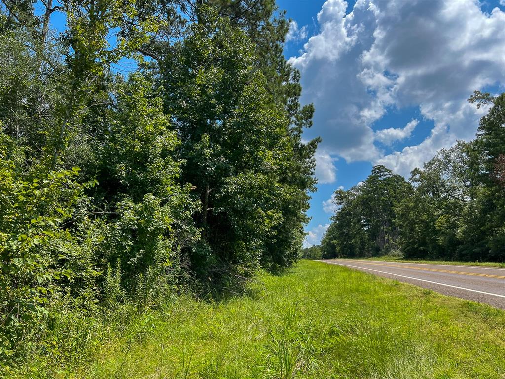 2 Highway 63, Burkeville, Texas image 3