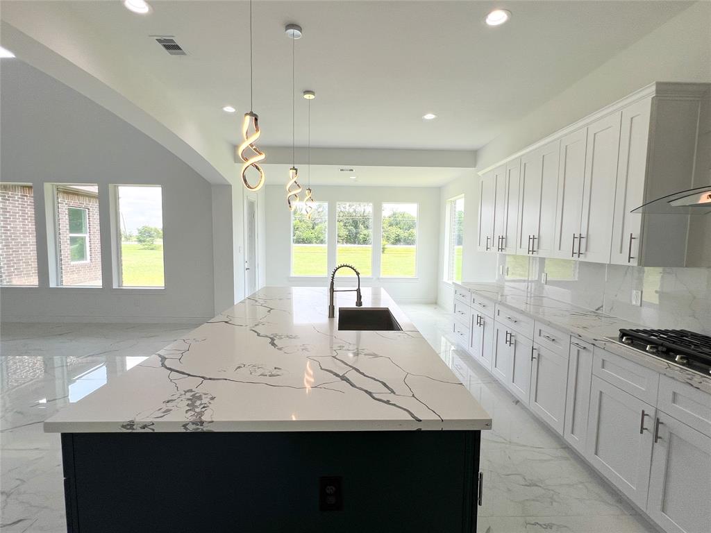 126 Lakeland Circle, Rosharon, Texas image 10