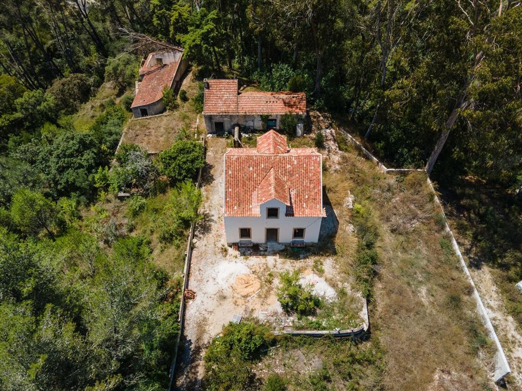 7 Av. Nunes de Carvalho