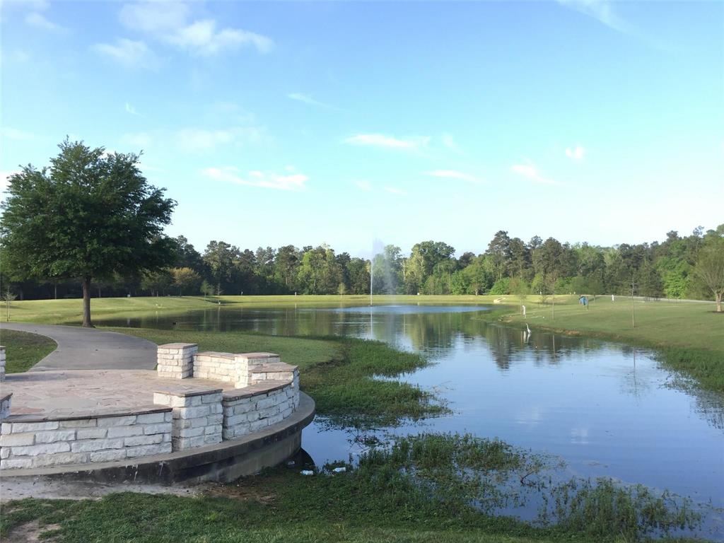 3221 Climbing Gardens Court, Conroe, Texas image 41