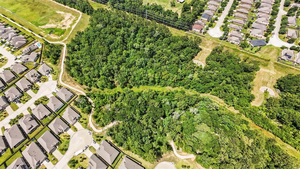 3221 Climbing Gardens Court, Conroe, Texas image 34