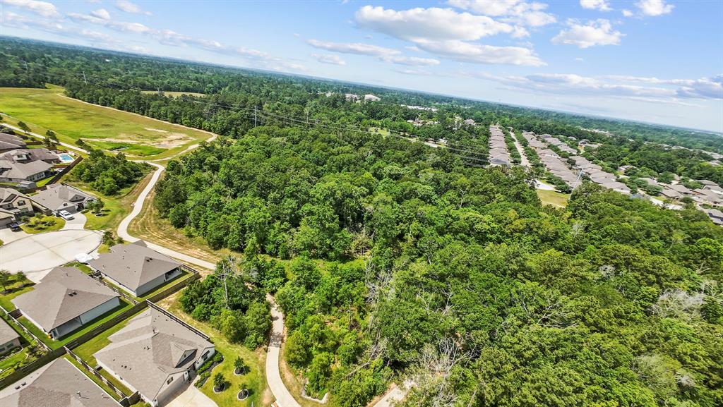 3221 Climbing Gardens Court, Conroe, Texas image 35
